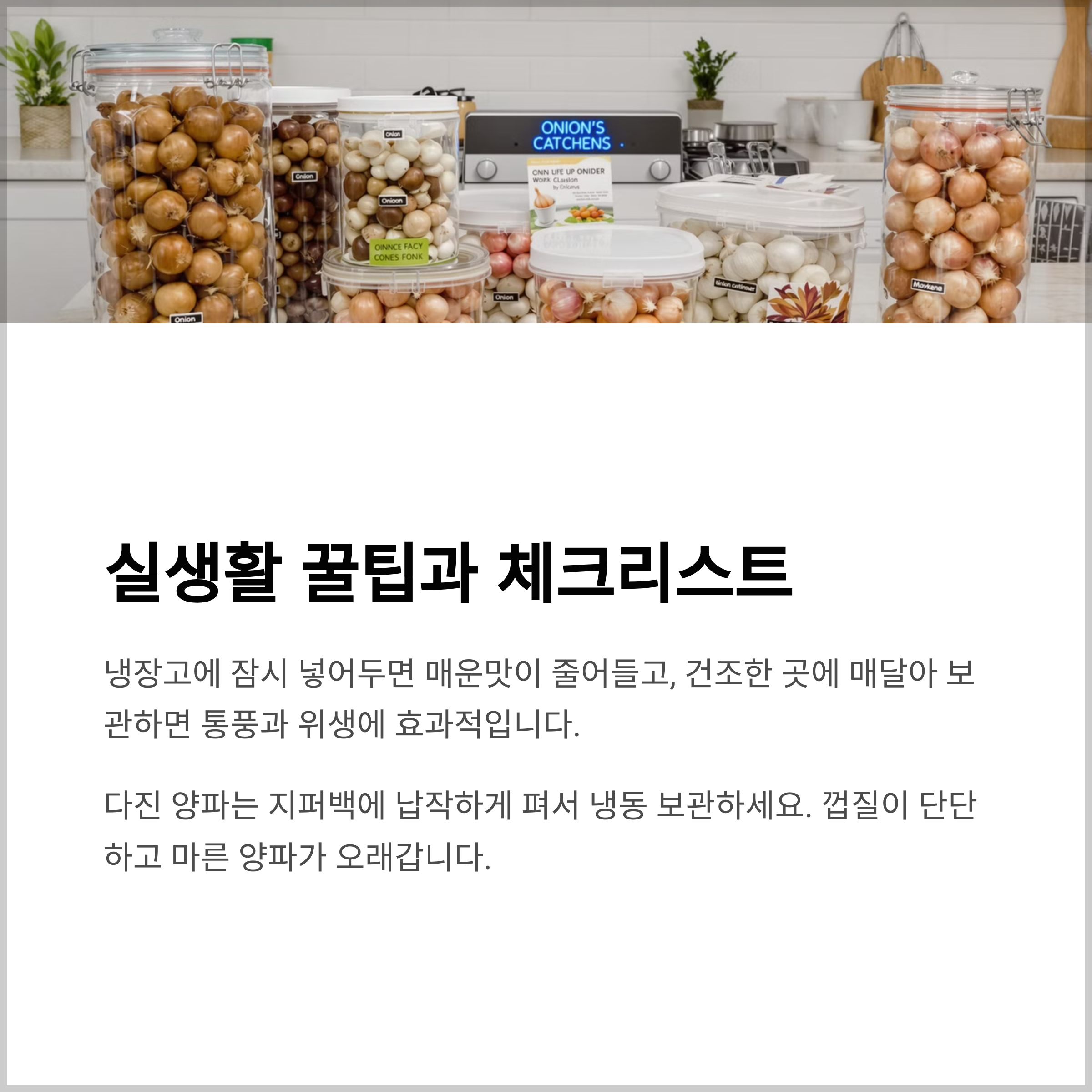 양파 보관 꿀팁
