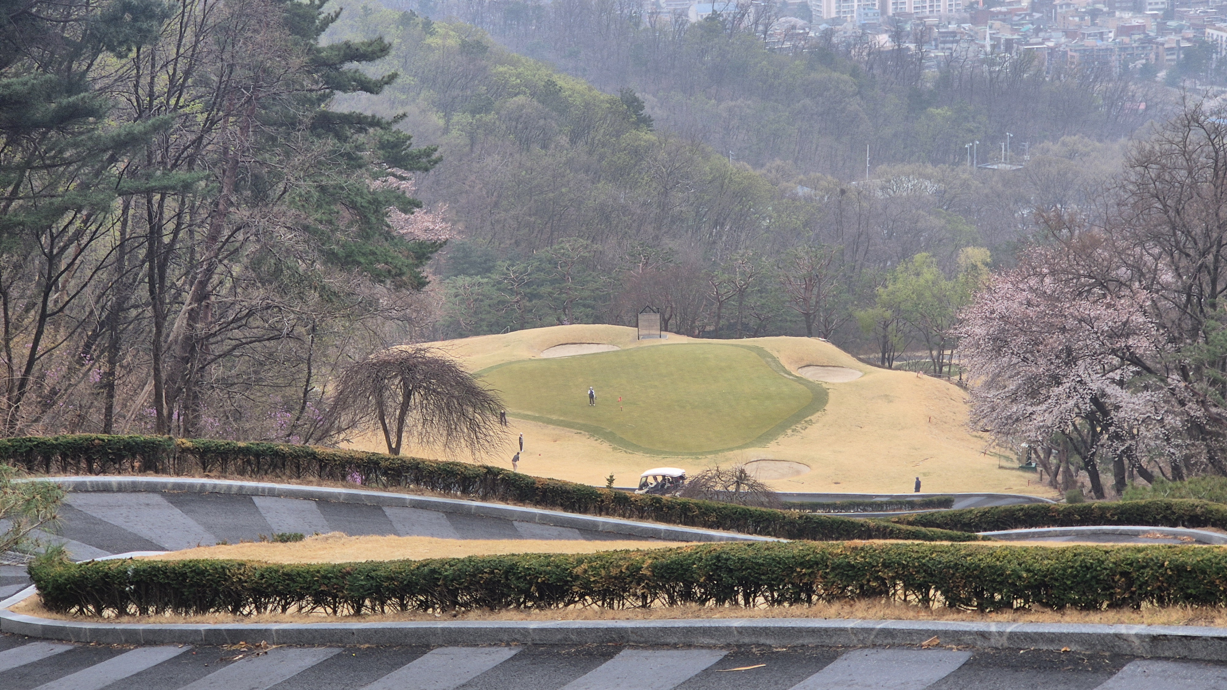 캐슬렉스cc