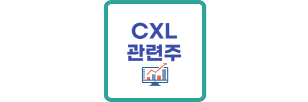 CXL관련주