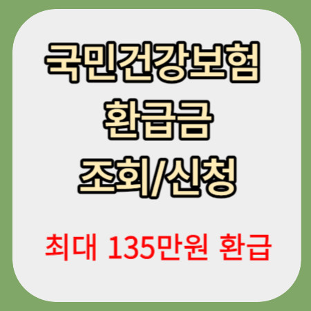 국민건강보험-환급금-조회