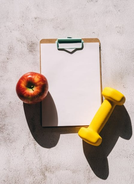 다이어트 앱 비교&amp;#44; 인기 앱 4종 기능&middot;장단점 총정리