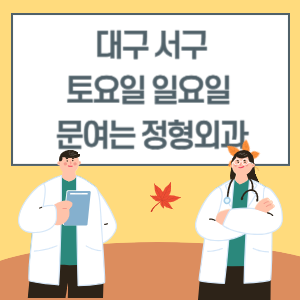 대구 서구 토요일 일요일 정형외과 진료 문여는 병원 리스트