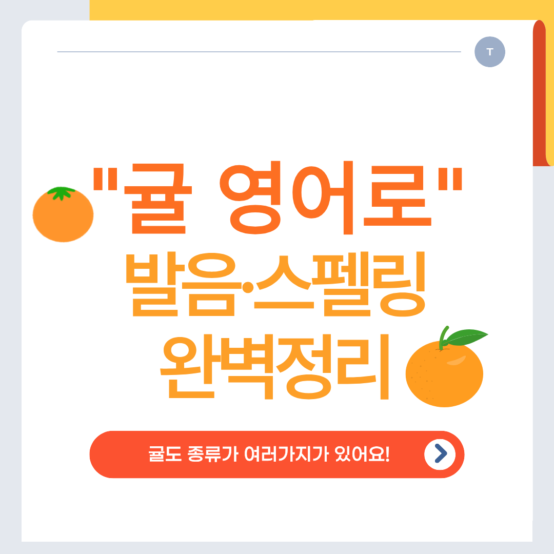 귤 영어로 발음&middot;스펠링 완벽정리!