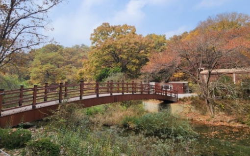 가을여행/안양/관악수목원