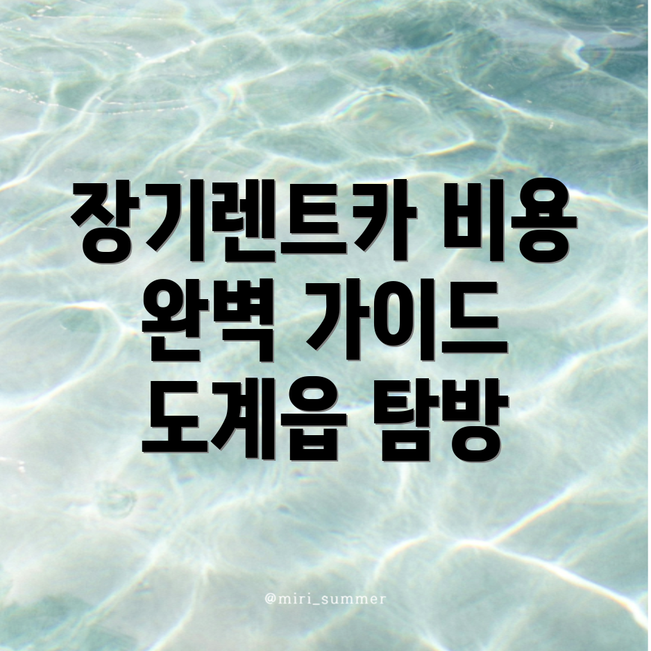 장기렌트카