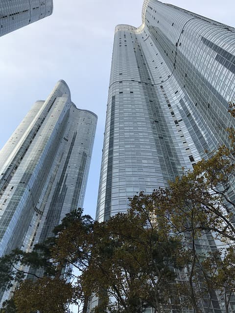 사회 초년생이라면 꼭 알아야 할 재테크 기본 가이드