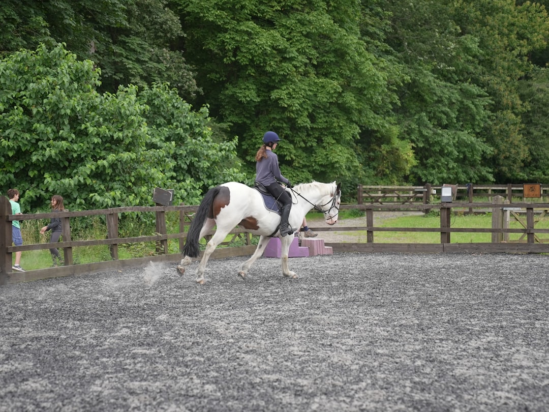 Trot