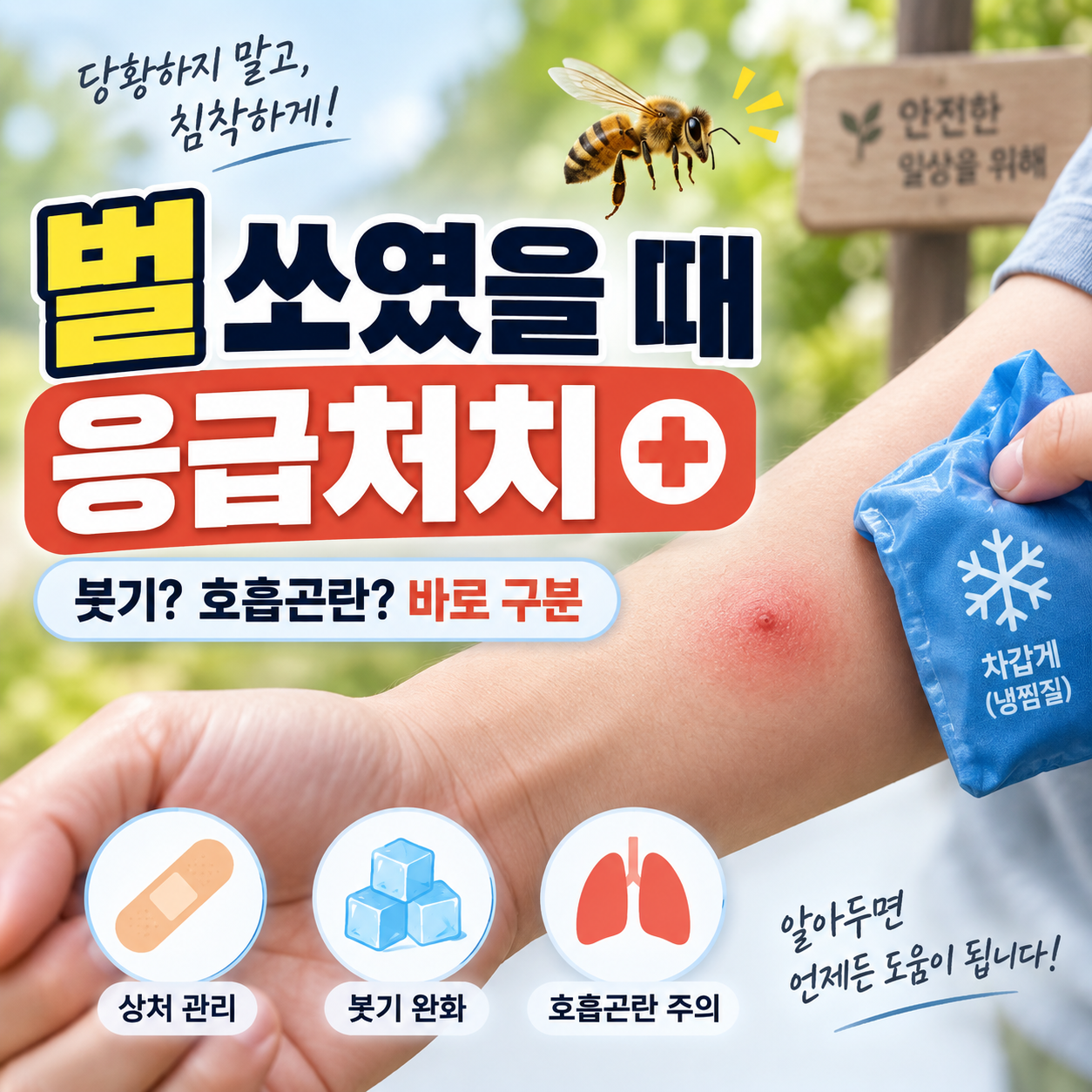 벌 쏘였을 때 대처