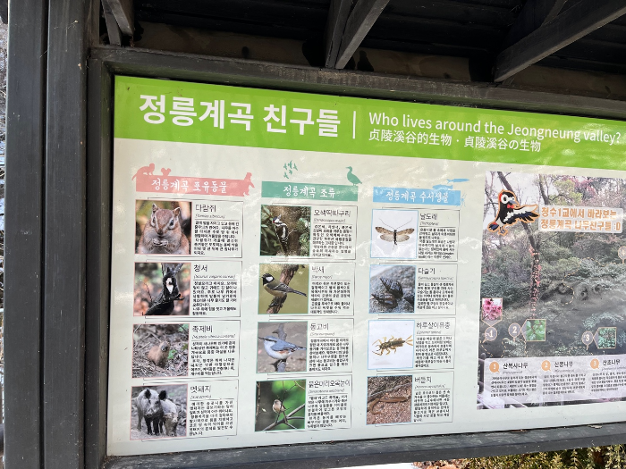 북한산에 산다는... 동물 친구들^^