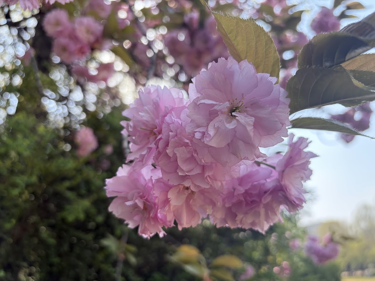 추억의 어린이대공원