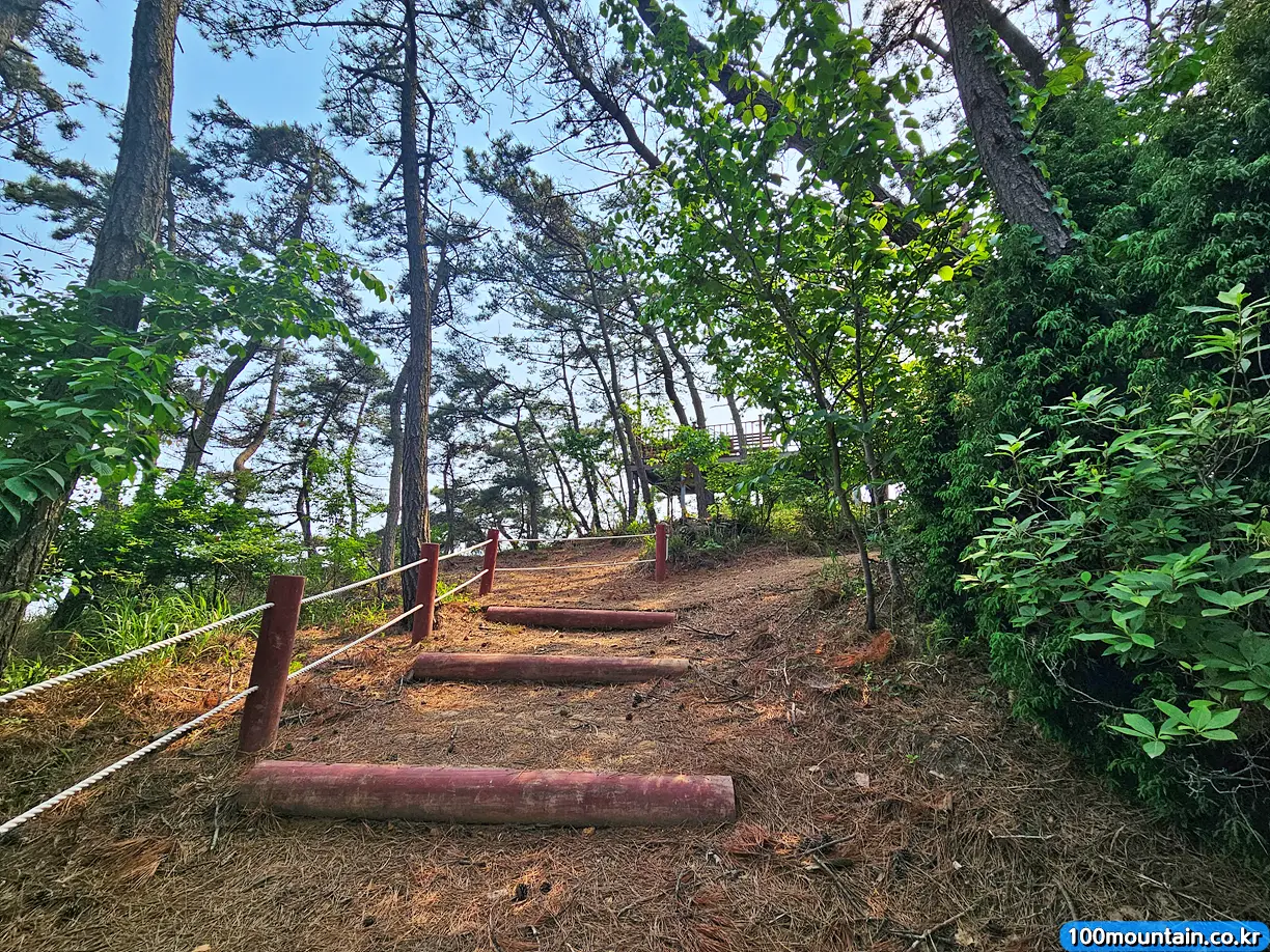 전망대