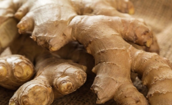 생강 효능 효과 부작용