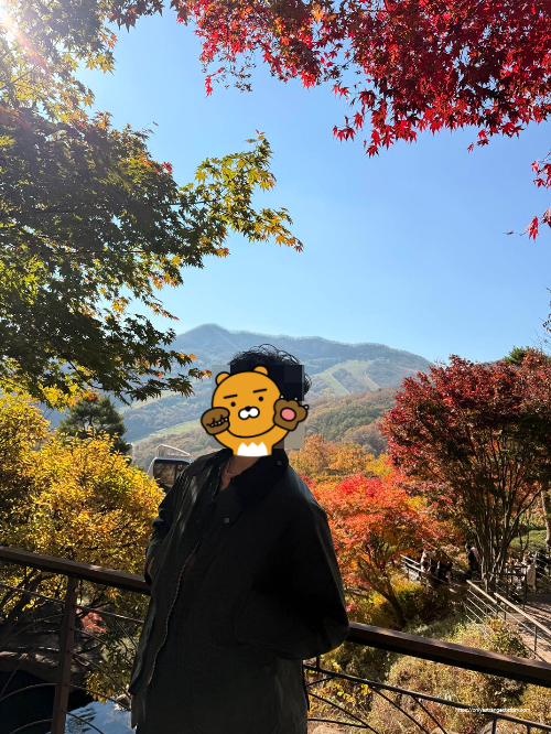 단풍나무 아래에서 