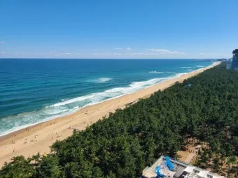 강릉 맛집 추천 여행코스에 포함하기 좋은 식당 리스트_12