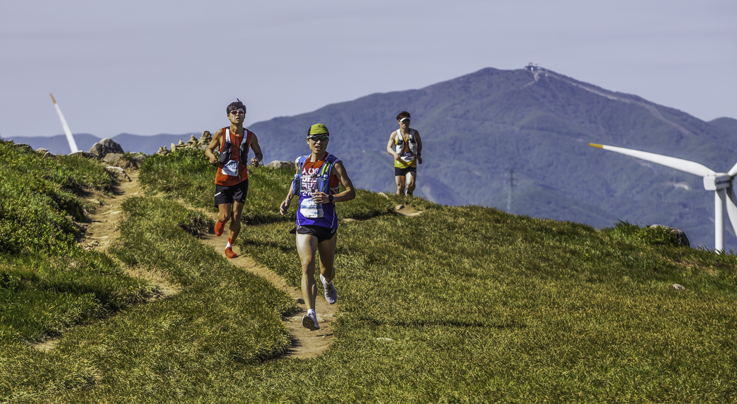 tnf100korea
tnf100gangwon
노스페이스 트레일러닝대회
선자령 트레일러닝