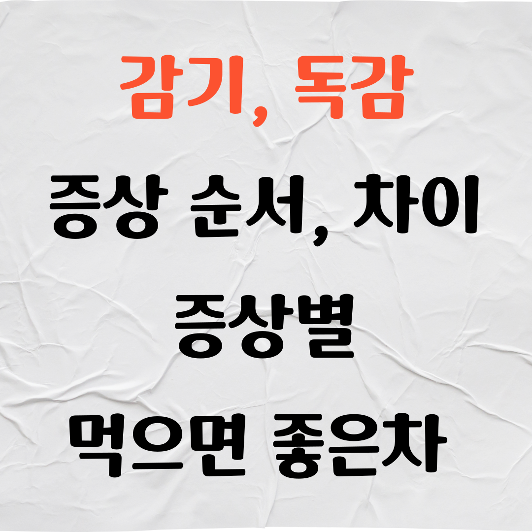 감기 증상 독감 증상 순서, 감기 독감 차이, 증상별 먹으면 좋은 차