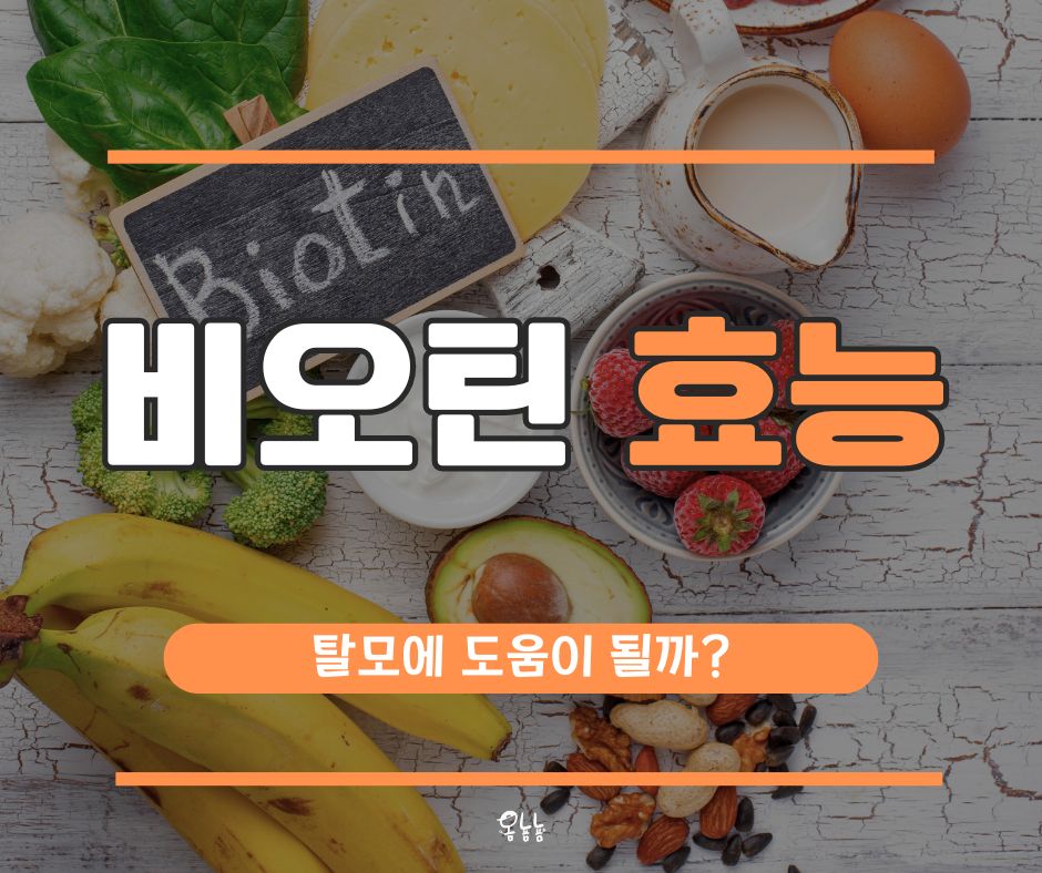 비오틴 효능