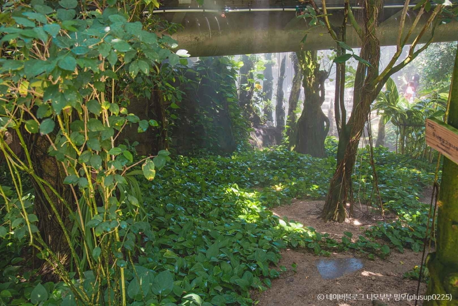 거제도 가볼만한곳 베스트10