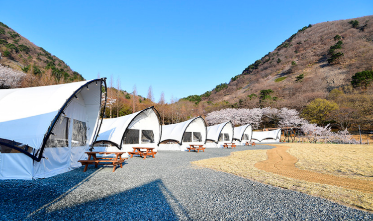 월아산 자연휴양림