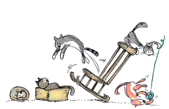 고양이는 왜 캣닙을 좋아할까? – 뇌에서 벌어지는 일