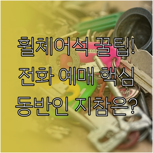 임영웅 대전 휠체어석 전화 예매 동반..