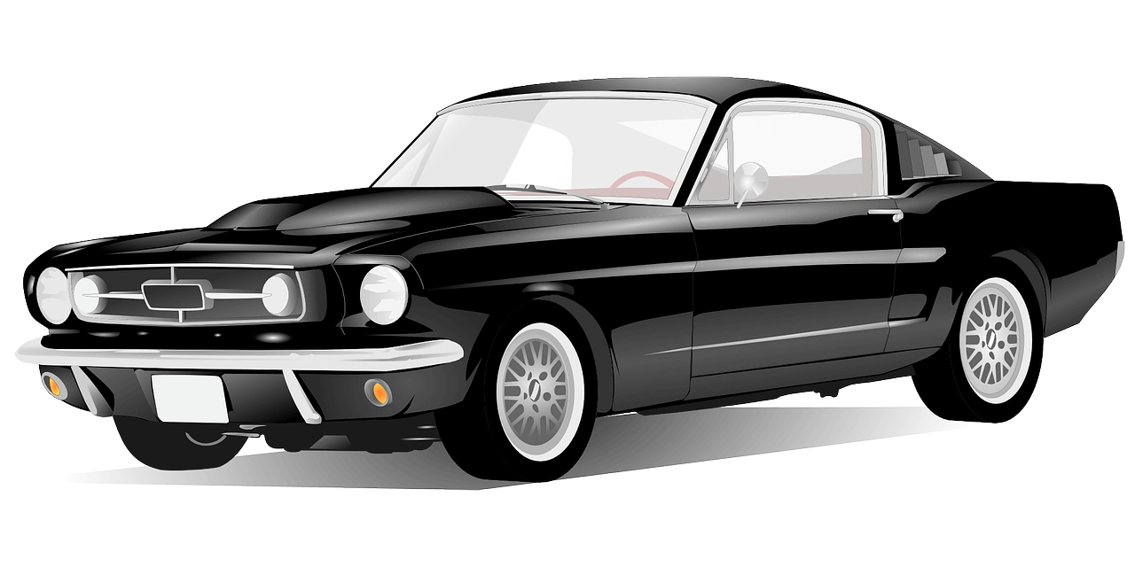 자동차세연납신청