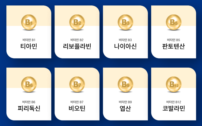 포함성분 2