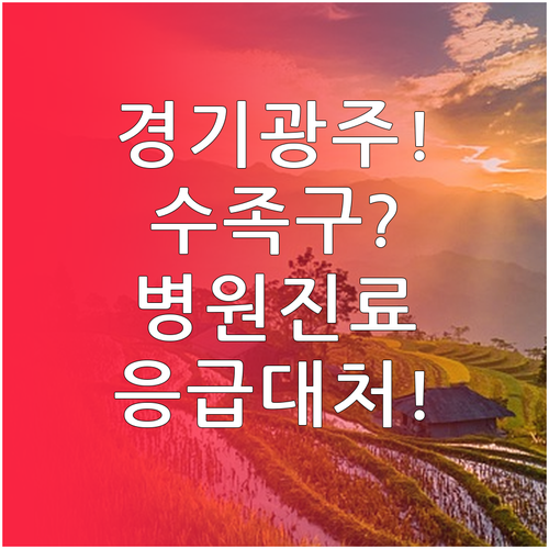 경기도 광주 수족구 진료 가능 병원 ..