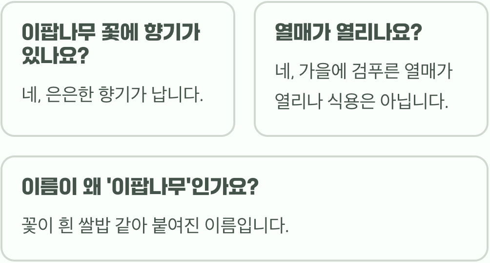 가로수로 이팝나무 많이 심는 진짜 이유, 병충해에 정말 강할까?