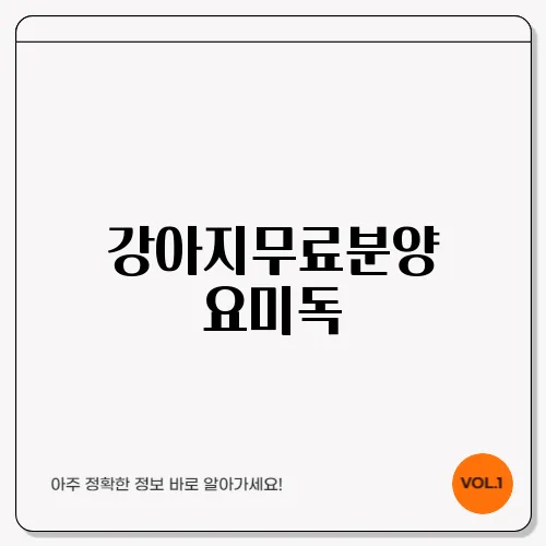 강아지무료분양 요미독