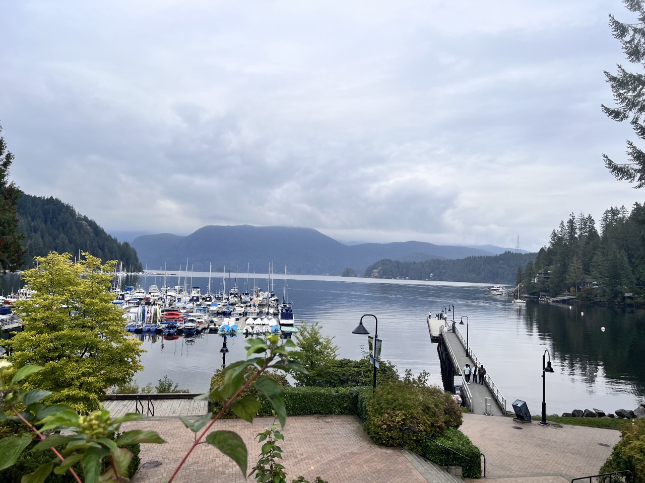 딥코브 Deep Cove 항구