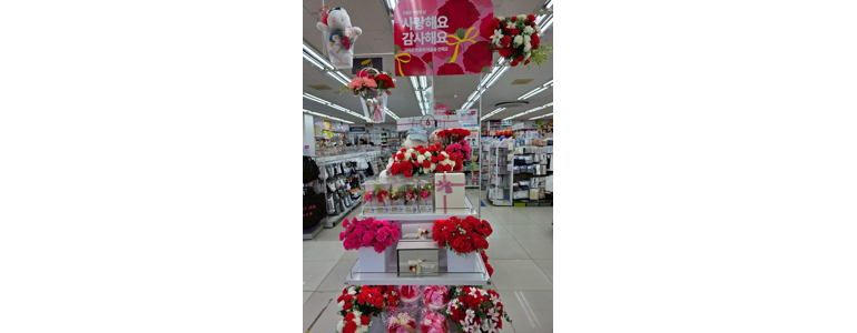 서울 은평구 종합생활용품 다이소