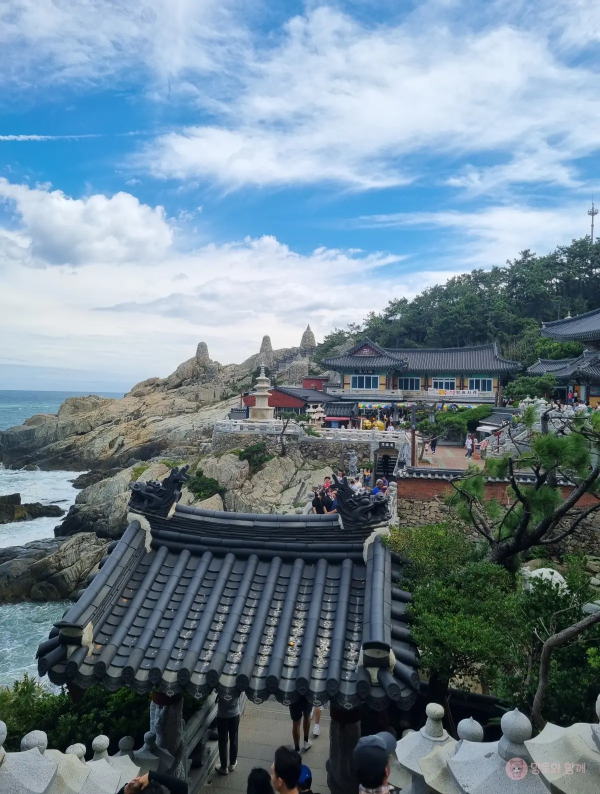 전체-전경