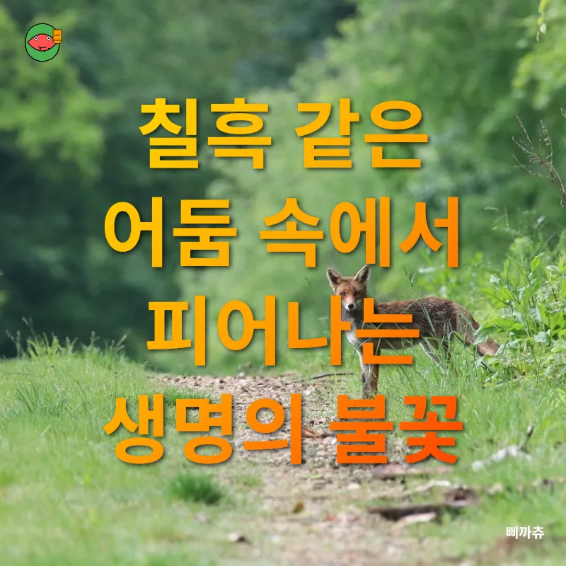 심해 생태계_1