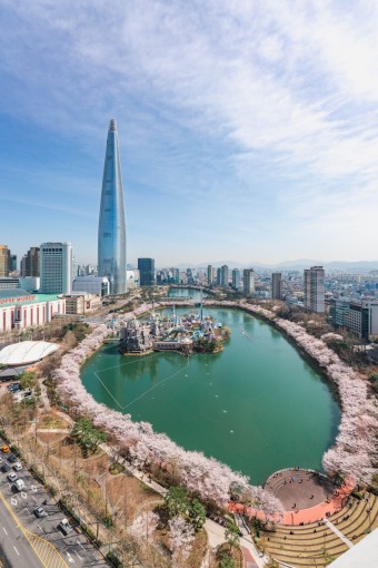 석촌호수-벚꽃