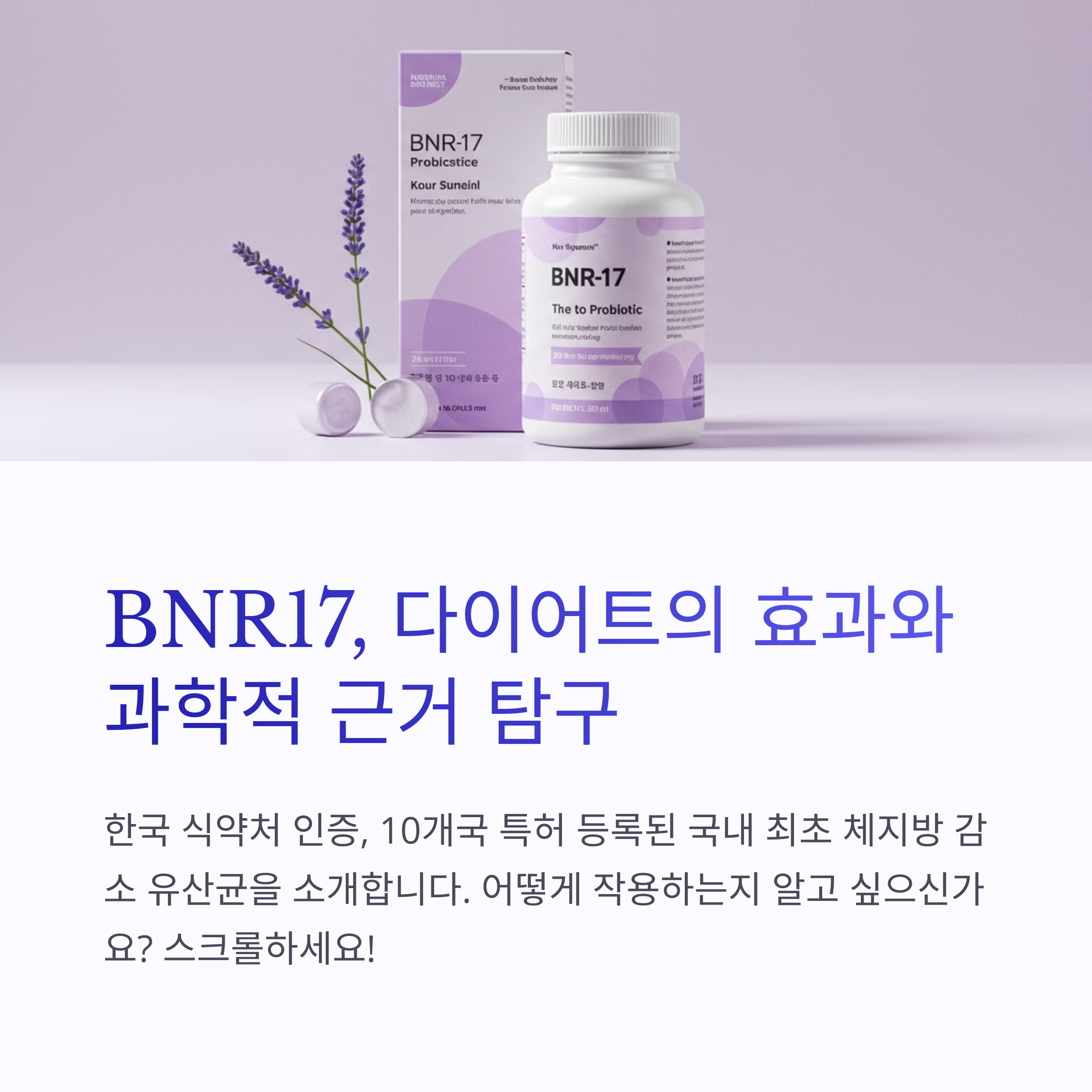 BNR17다이어트효과와과학적근거탐구
