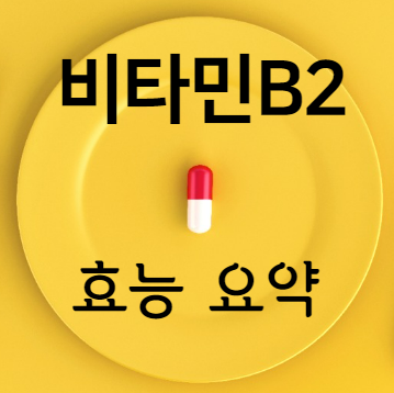 비타민B2 효능 요약