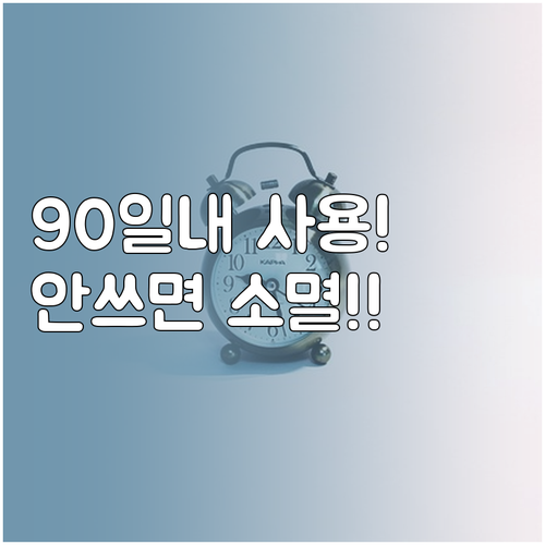 무주사랑상품권 90일 이내 사용 필수..
