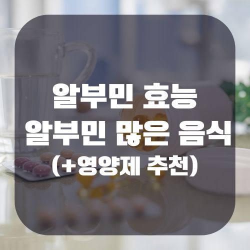 알부민의 효능 및 알부민 많은 음식