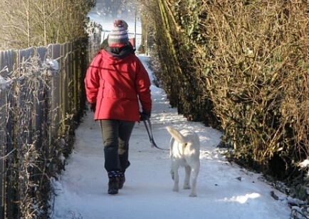 강아지와의 산책 2