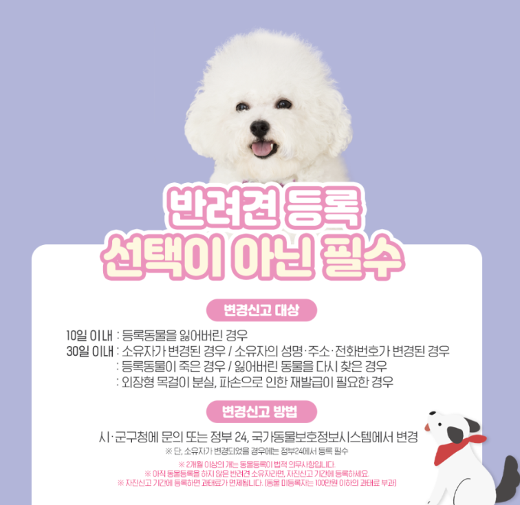 반려견 등록, 자진신고 방법 총정리(2024)