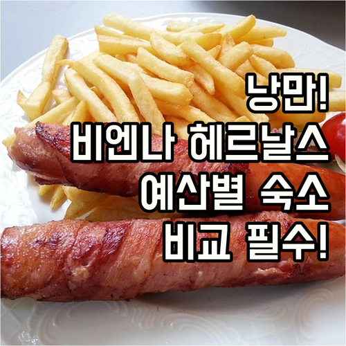 낭만의 도시 비엔나 헤르날스역 숙소 ..