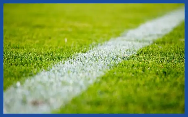 축구 국가대표 감독 연봉 순위: 클린스만&amp;#44; 만치니&amp;#44; 벤투까지 완벽 분석