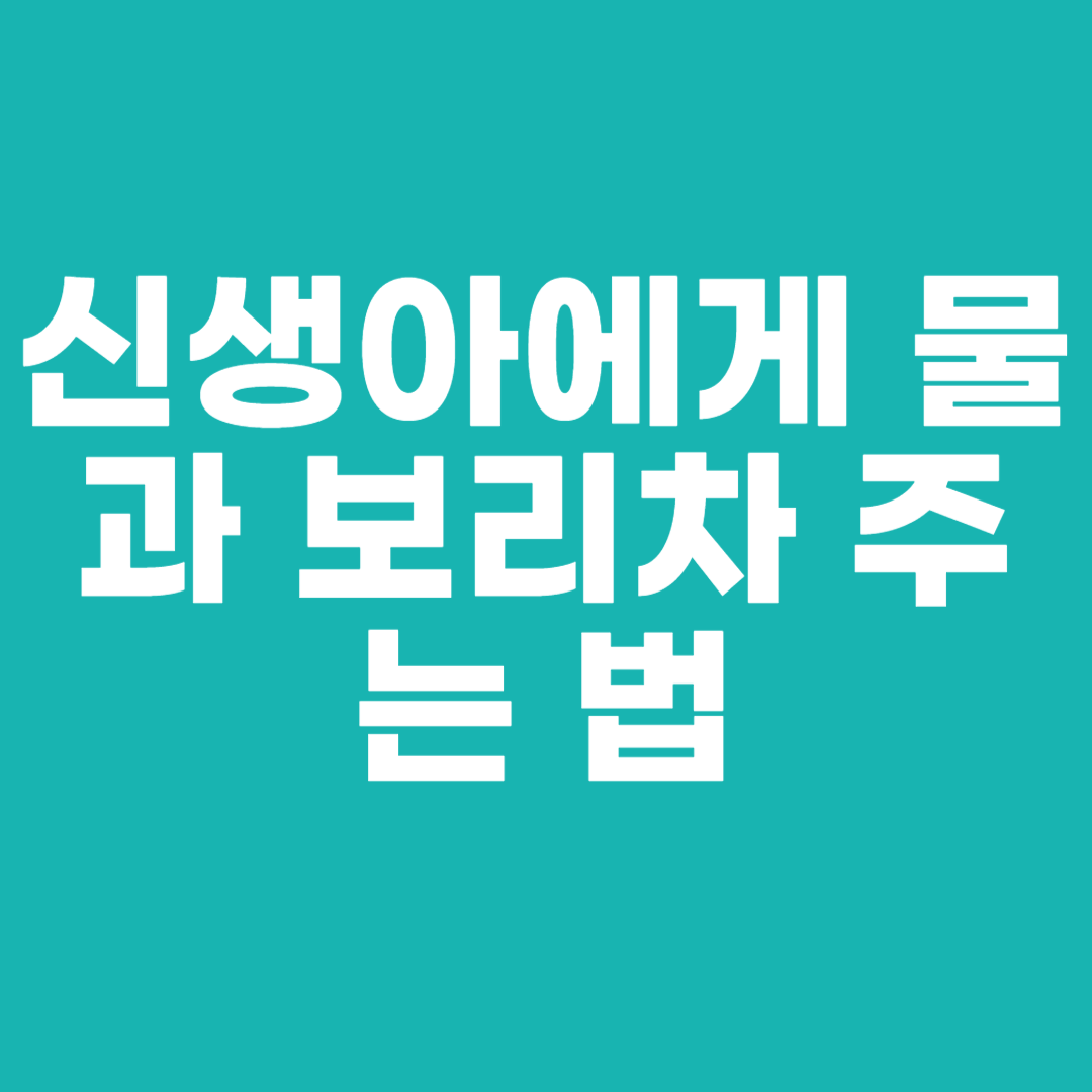 신생아에게 물과 보리차 주는 법