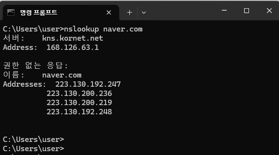도메인 네임 서버 점검
