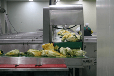 고랭지 절임배추20kg 가격비교 카드할인혜택