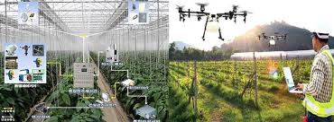 데이터를 이용해 미래 농업을 설계하는 특수직업인, 데이터 기반 농업 분석가