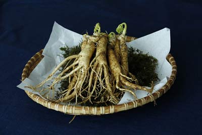 수족냉증
