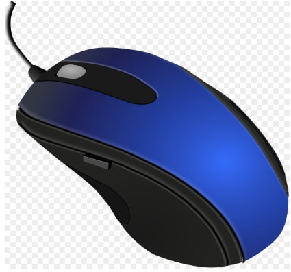 다양한 도전 블로거, 유튜버의 비교