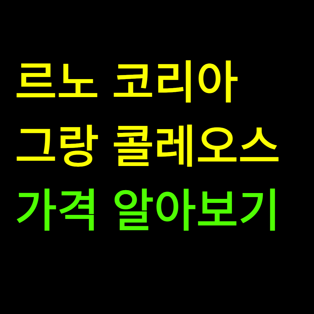 그랑 콜레오스 가격